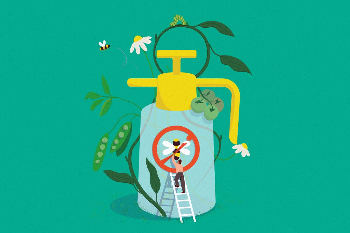 New Scientist. Science news and long reads from expert journalists, covering developments in science, technology, health and the environment on the website and the magazine.