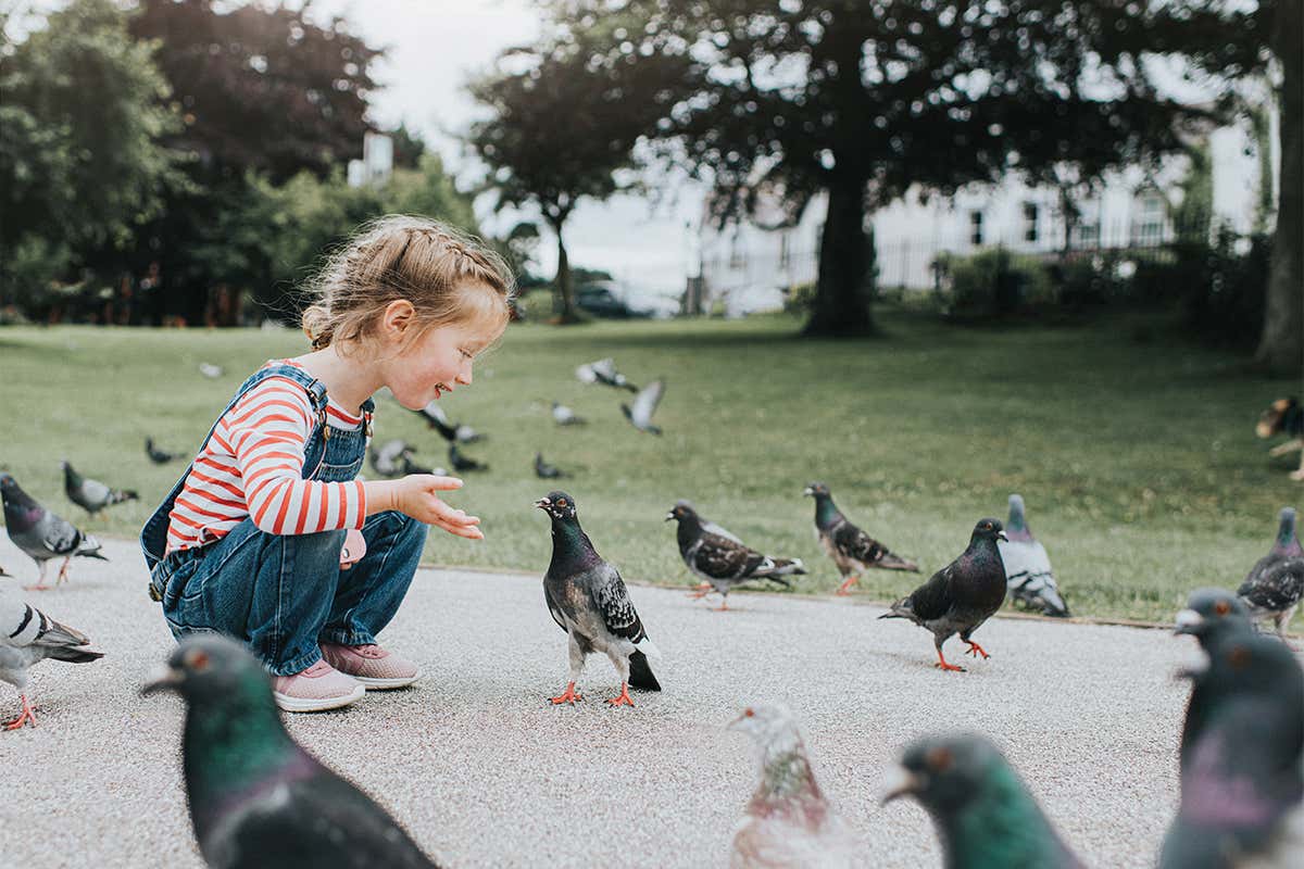 Anthropomania review: Our love of animals and how we live with them