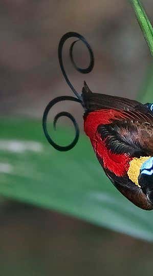 New Scientist. Science news and long reads from expert journalists, covering developments in science, technology, health and the environment on the website and the magazine.