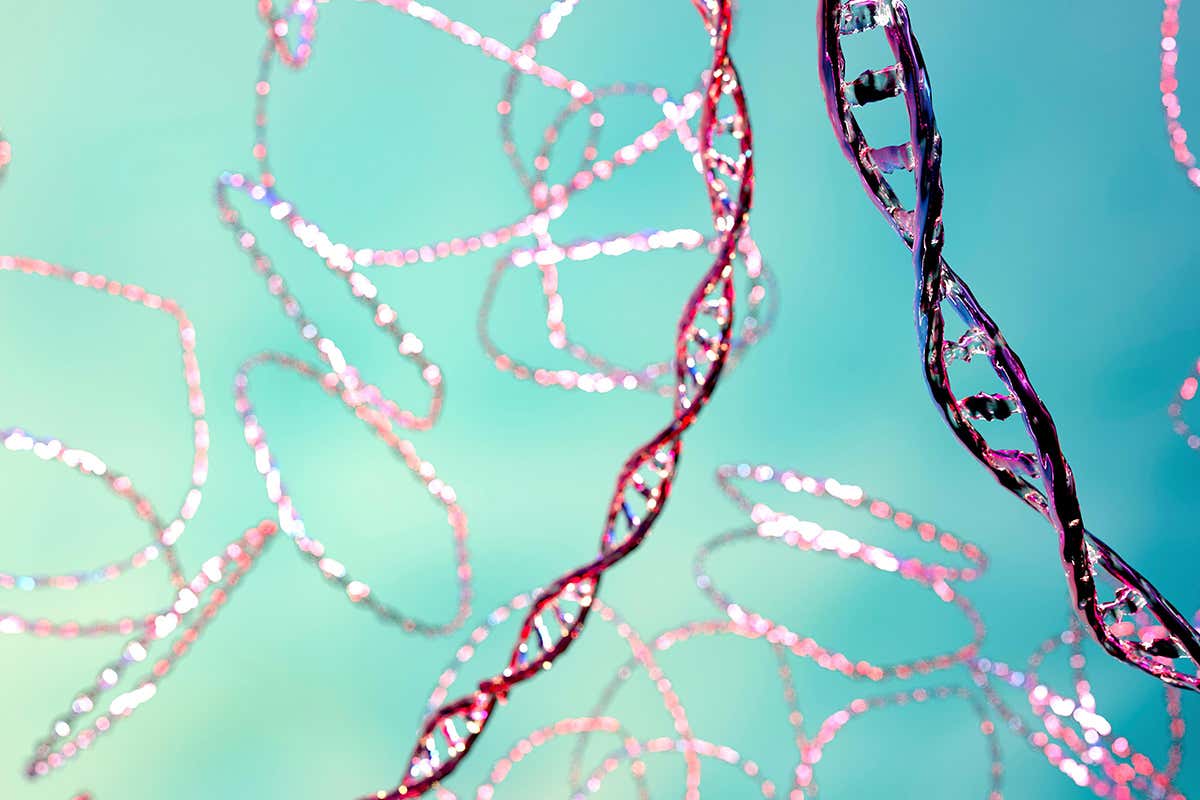 illustration of plasmids