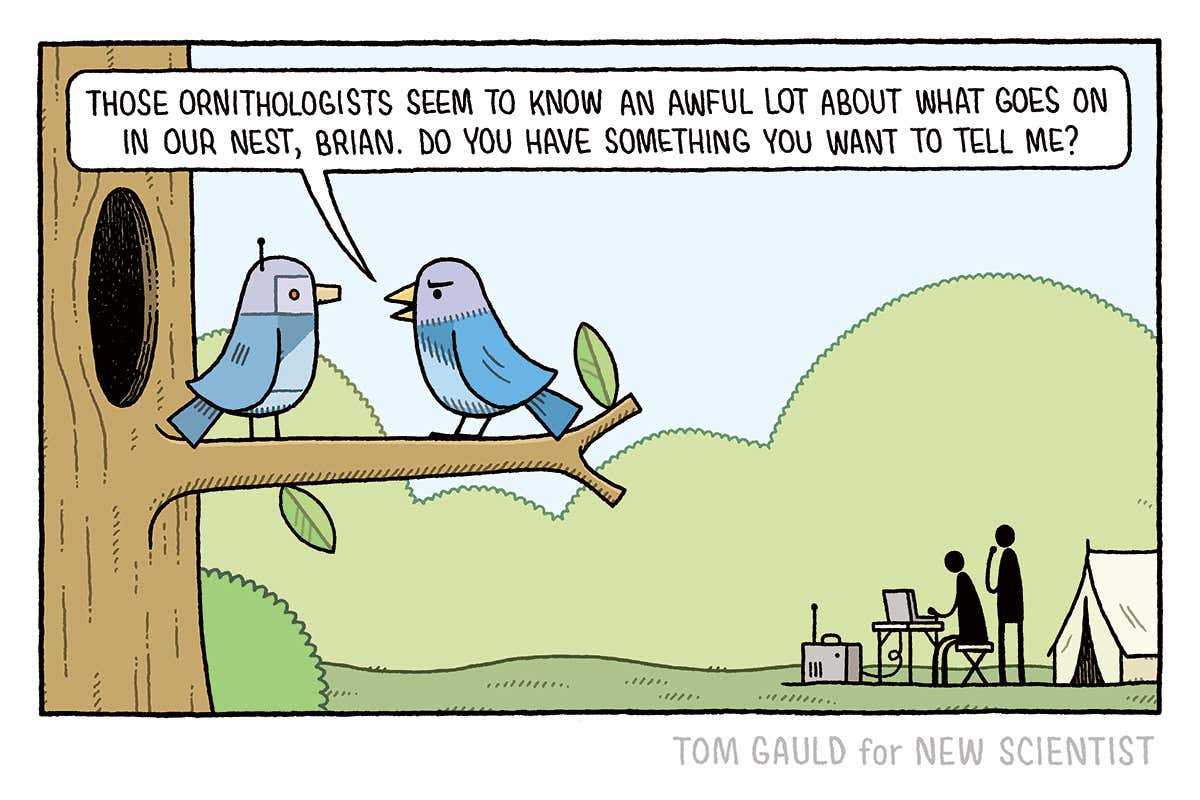 Tom Gauld: 'Do you have something you want to tell me, Brian?'
