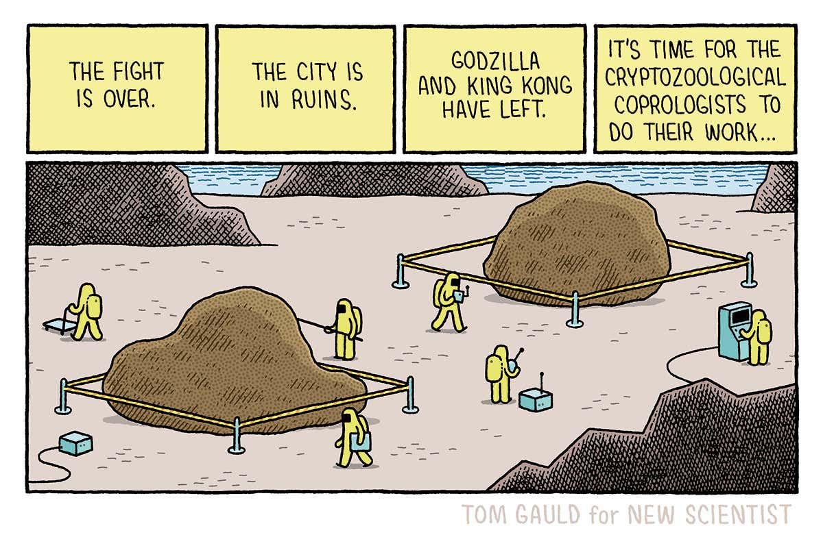 Tom Gauld on what Godzilla and King Kong left behind