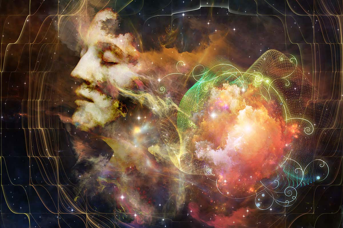 Can the brain register higher dimensions?