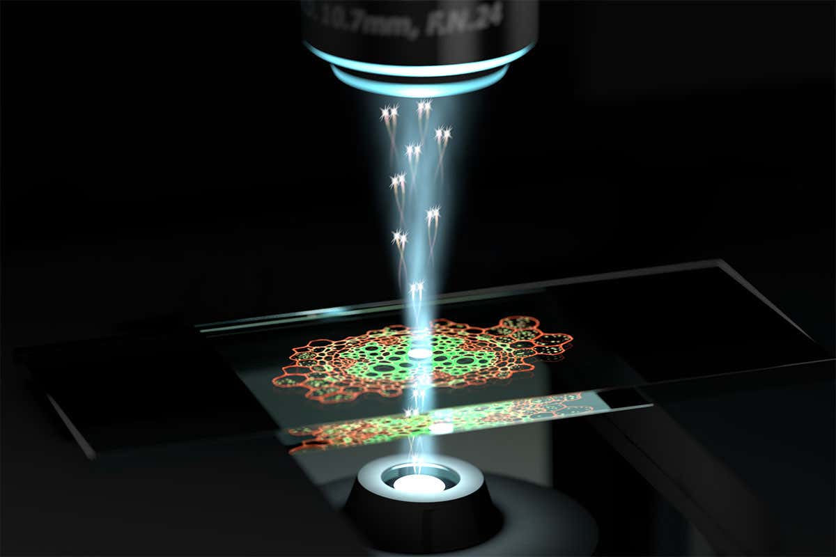 Quantum microscope can examine cells in unprecedented detail