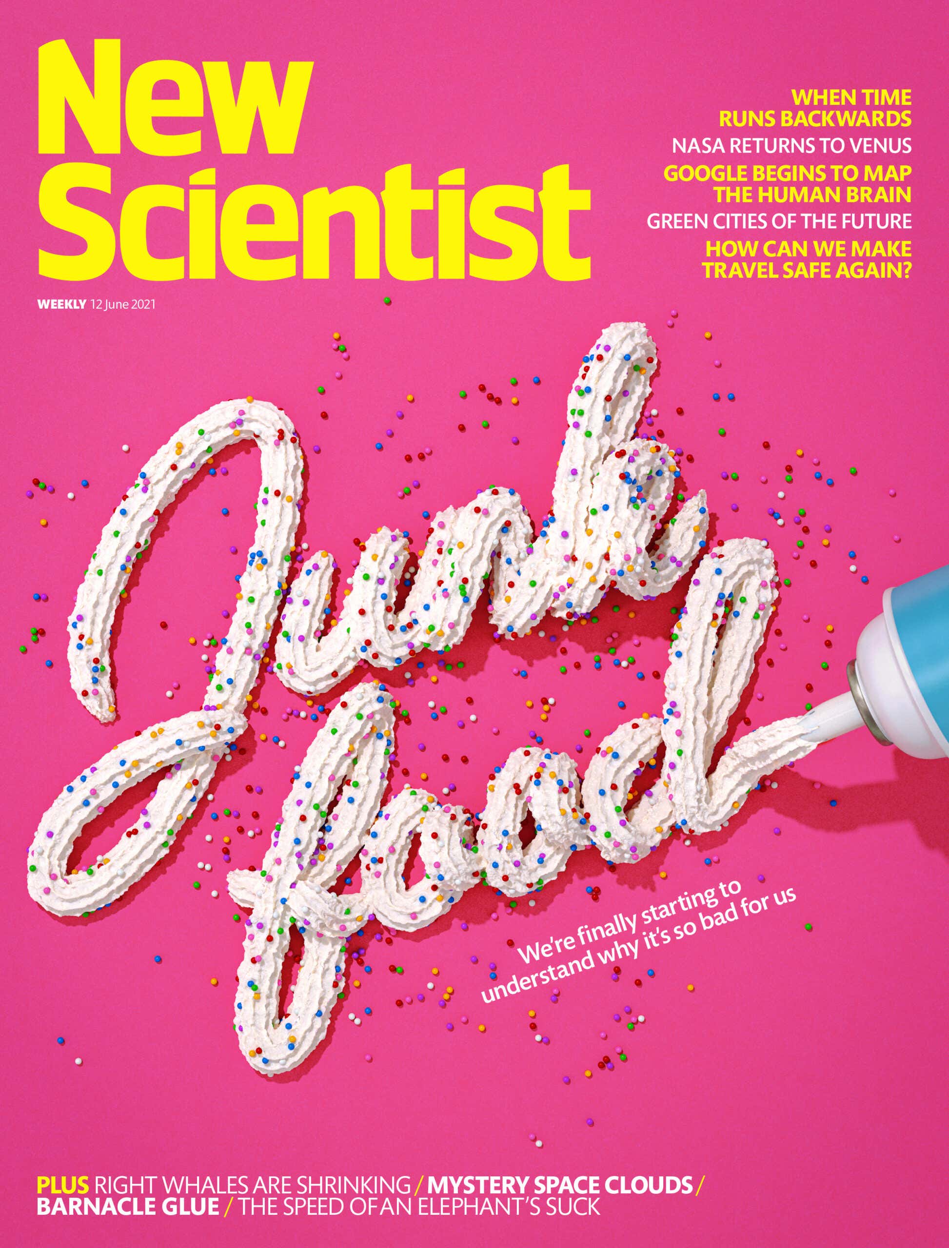 New Scientist issue 3338 cover