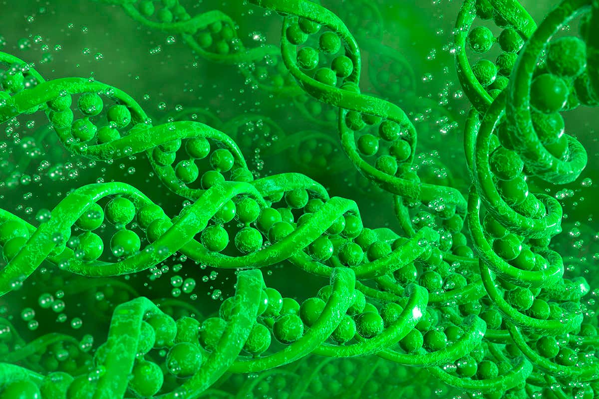 New Scientist. Science news and long reads from expert journalists, covering developments in science, technology, health and the environment on the website and the magazine.