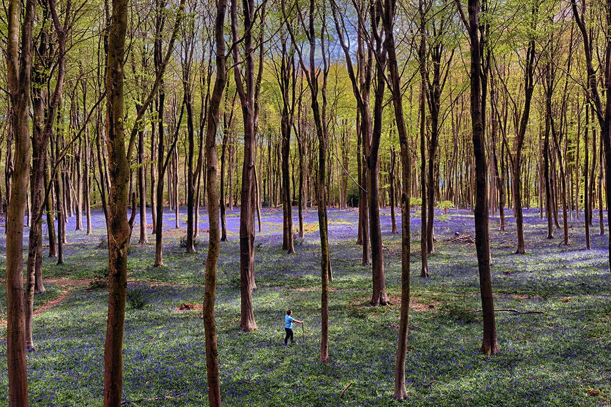 Climate change and nature loss must be tackled together, says report