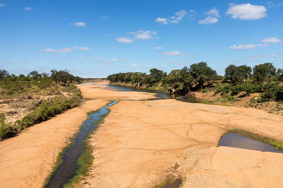 New Scientist. Science news and long reads from expert journalists, covering developments in science, technology, health and the environment on the website and the magazine.