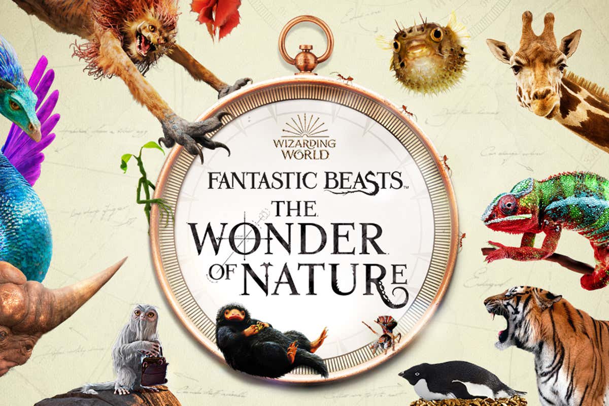 New Scientist. Science news and long reads from expert journalists, covering developments in science, technology, health and the environment on the website and the magazine.