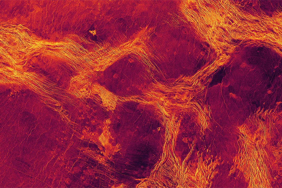 Venus has huge land masses that jostle about like Earth's continents