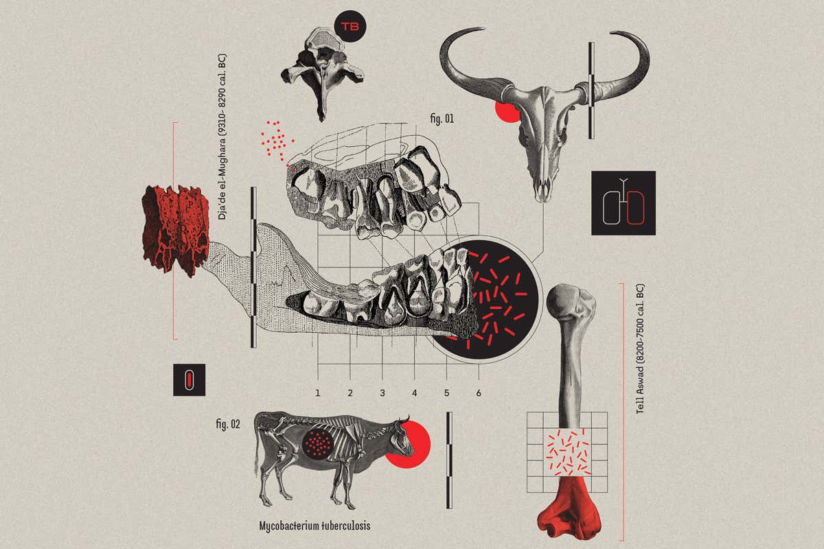 The surprising, ancient origins of TB, humanity's most deadly disease