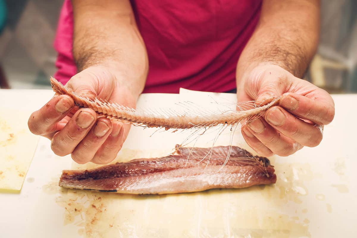 Why do herring have lots of small bones, and mackerel the opposite?