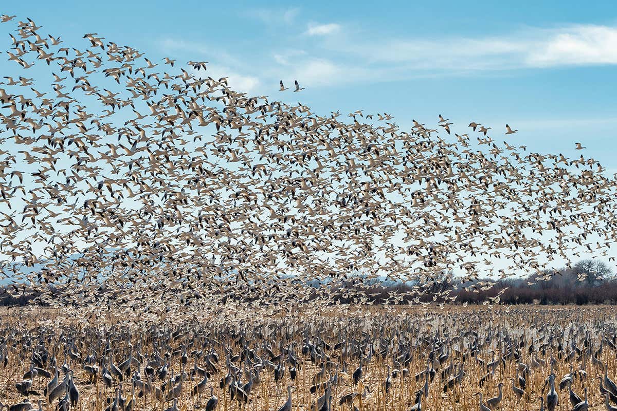 New Scientist. Science news and long reads from expert journalists, covering developments in science, technology, health and the environment on the website and the magazine.