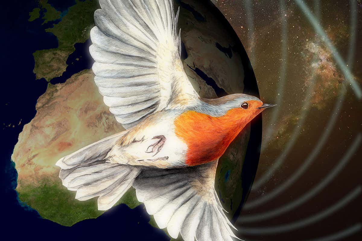 Robin and magnetic field