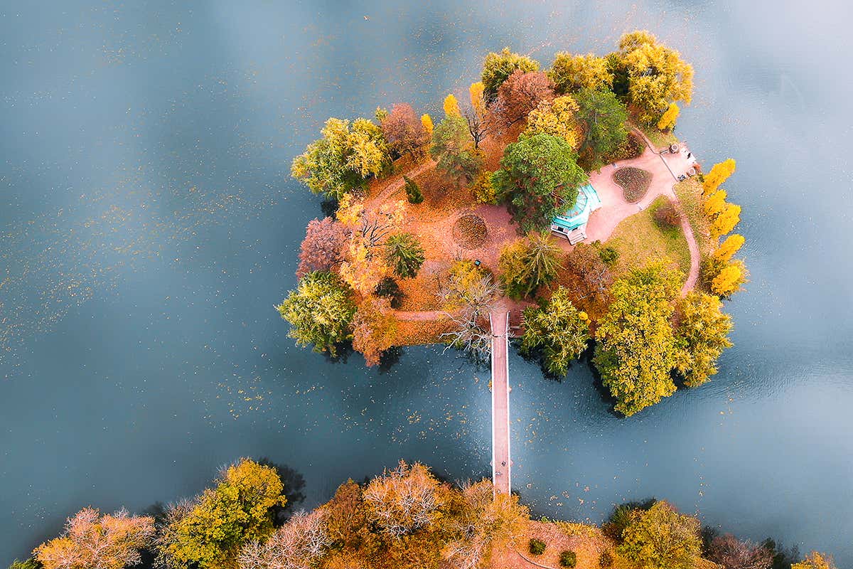 Magical image of ‘tree island’ shortlisted for major photo prize