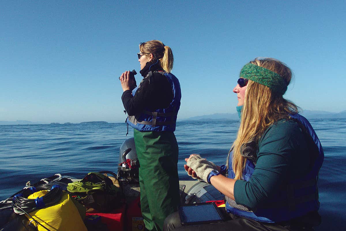 Fathom review: What happens when humans try to talk to whales