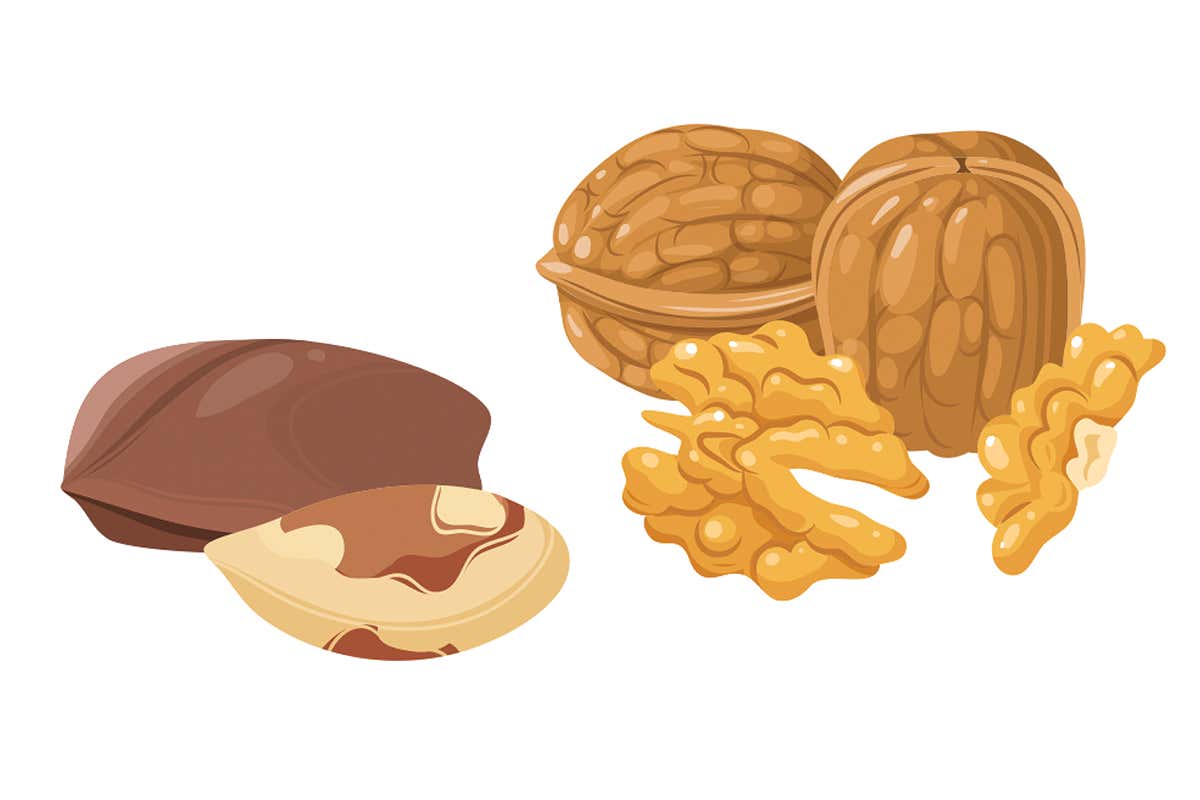 Puzzle #119: How many nuts did two families have before a food fight?