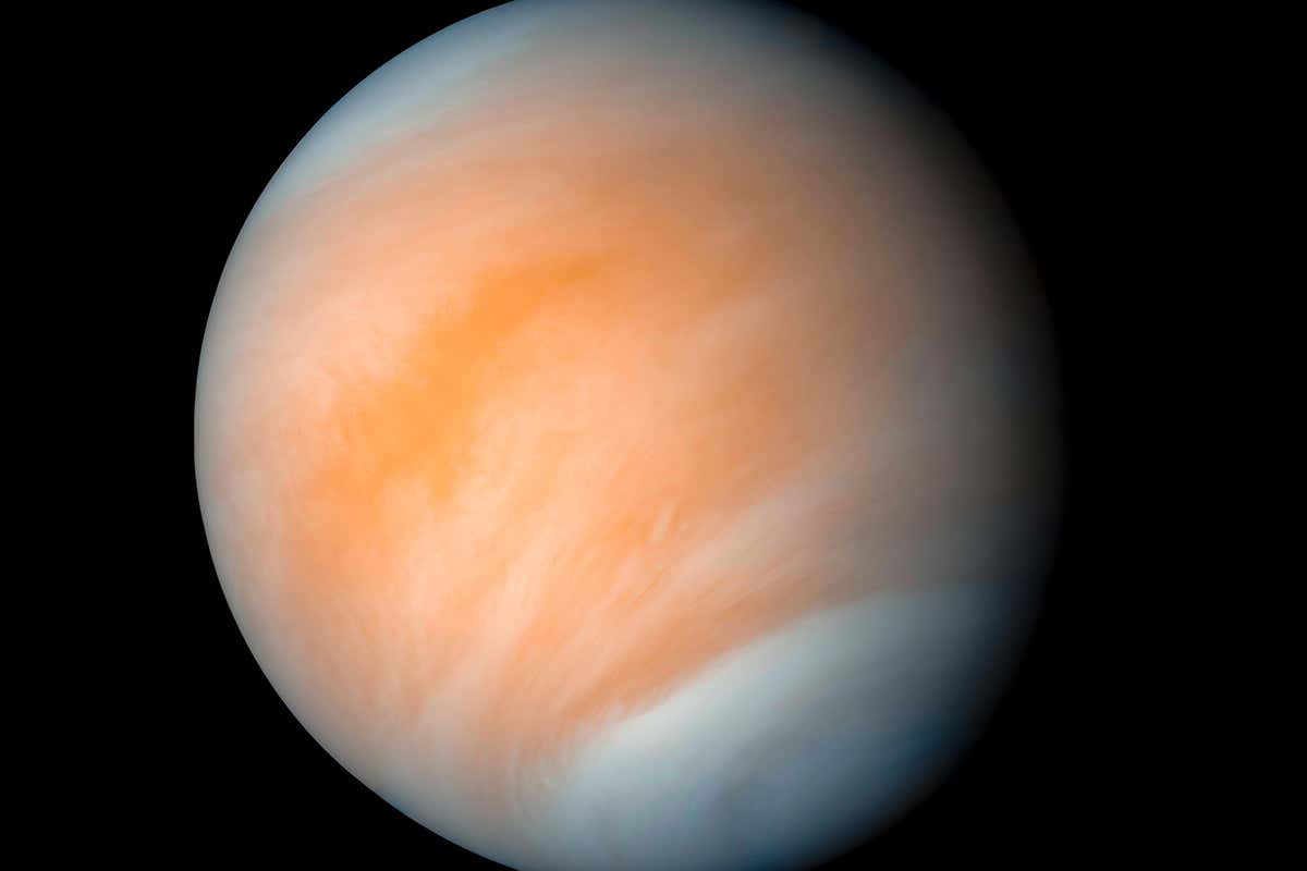 The clouds of Venus are too dry to support life as we know it