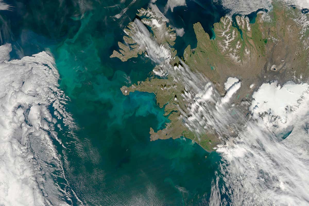 Controversial geoengineering scheme will dump iron in the sea