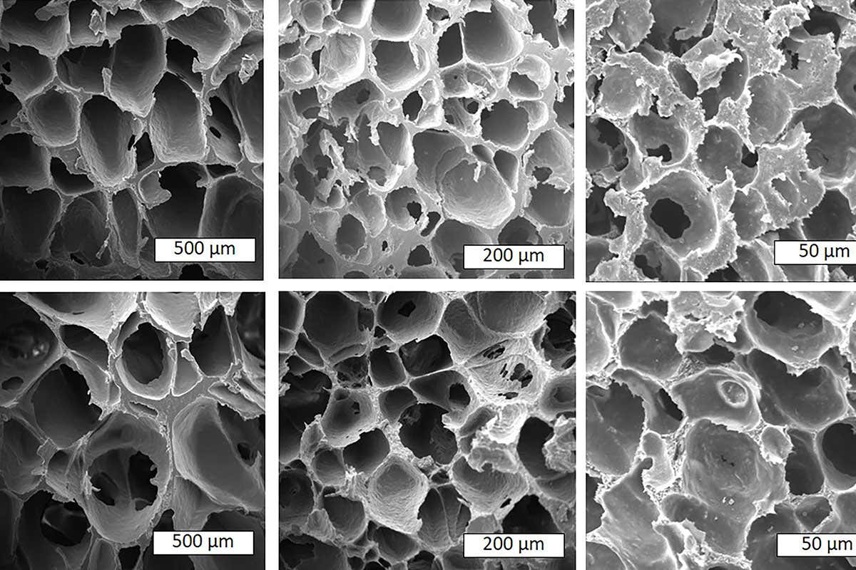 New Scientist. Science news and long reads from expert journalists, covering developments in science, technology, health and the environment on the website and the magazine.