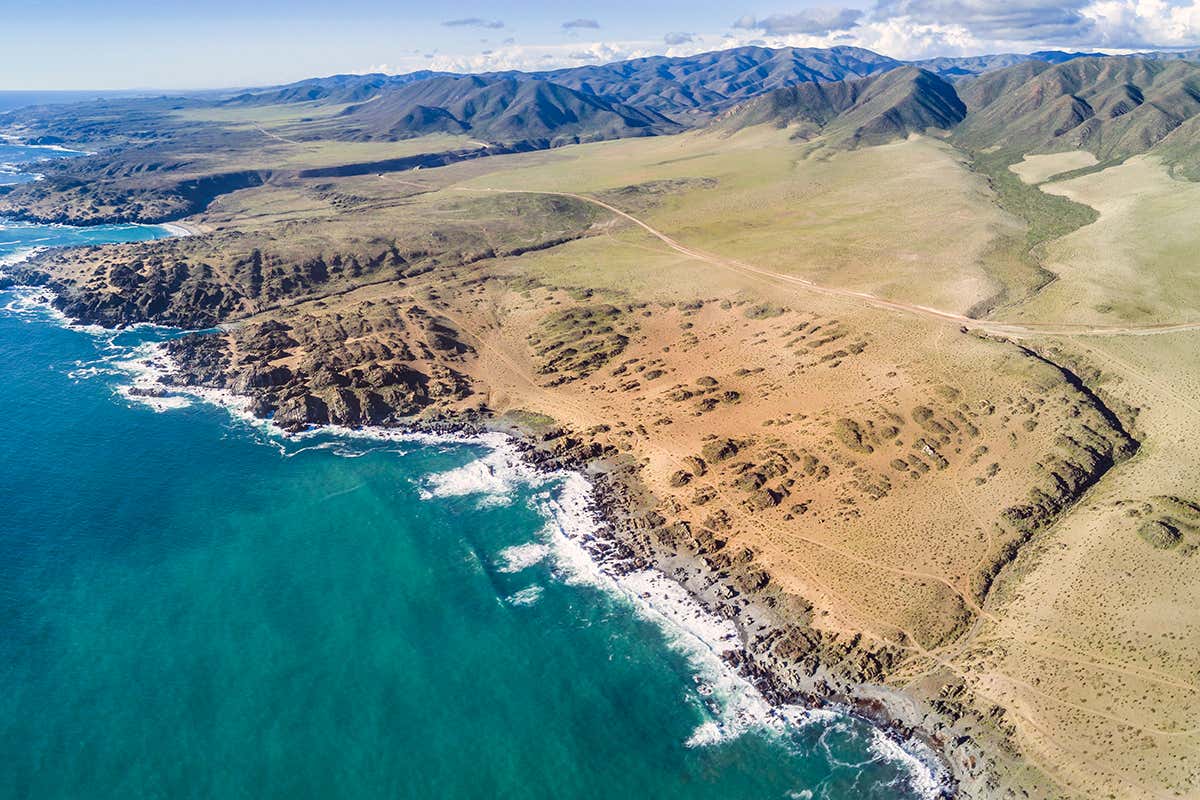 New Scientist. Science news and long reads from expert journalists, covering developments in science, technology, health and the environment on the website and the magazine.