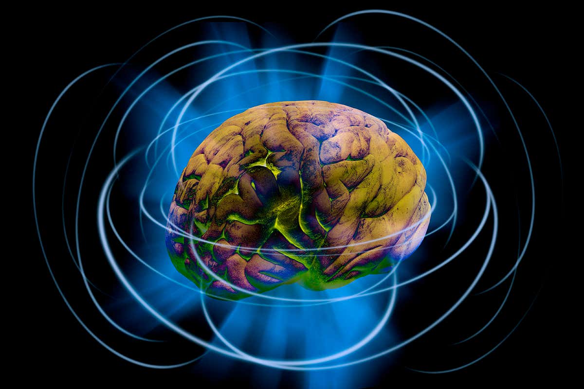 Can physics explain consciousness and does it create reality?