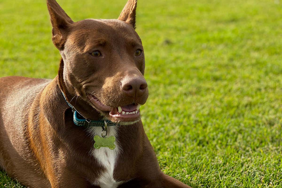 New Scientist. Science news and long reads from expert journalists, covering developments in science, technology, health and the environment on the website and the magazine.