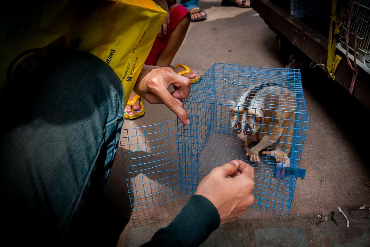New Scientist. Science news and long reads from expert journalists, covering developments in science, technology, health and the environment on the website and the magazine.