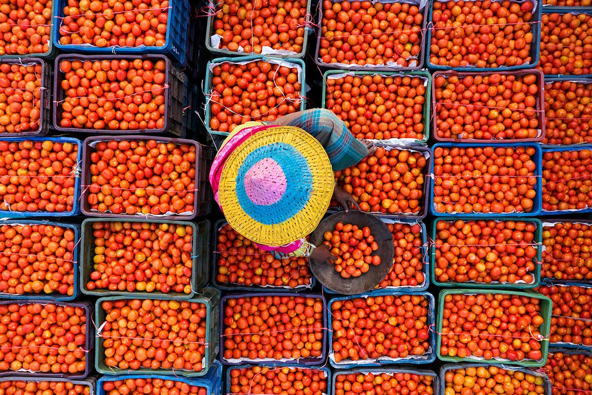 The mysterious case of declining nutrition in food