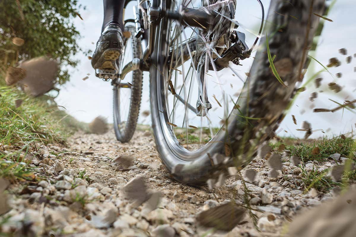 New Scientist. Science news and long reads from expert journalists, covering developments in science, technology, health and the environment on the website and the magazine.