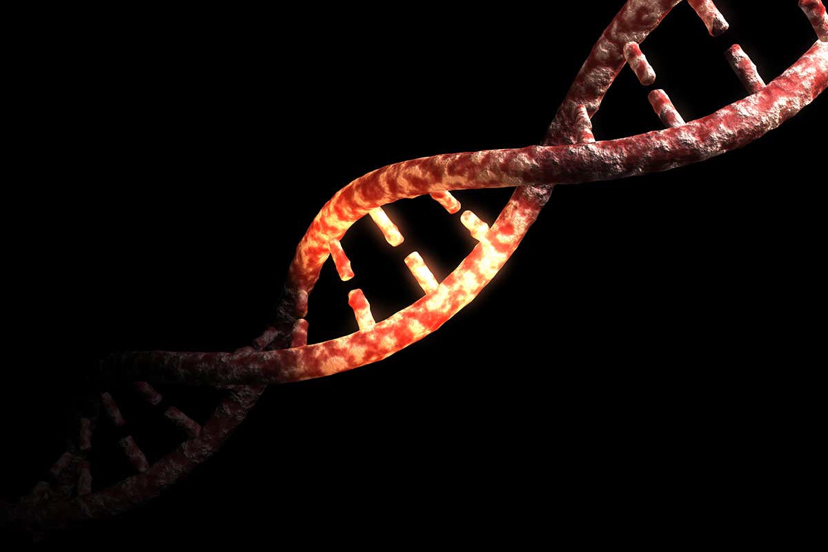 DNA