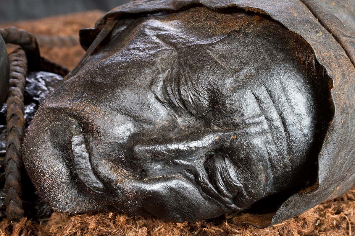 Tollund Man