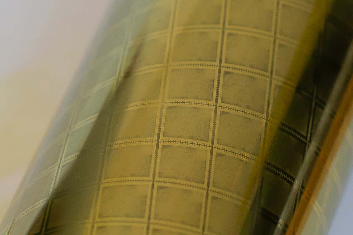 New Scientist. Science news and long reads from expert journalists, covering developments in science, technology, health and the environment on the website and the magazine.