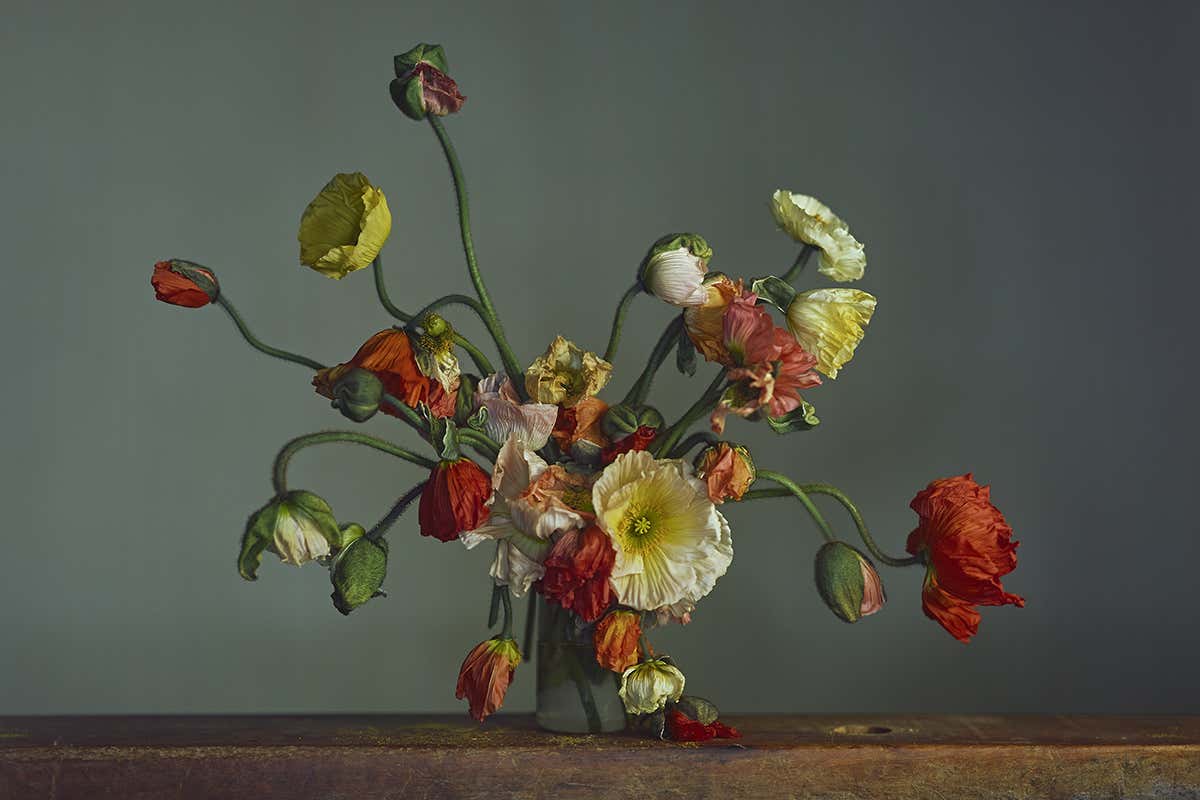 Amazing image taken with a camera obscura shows photography's origins