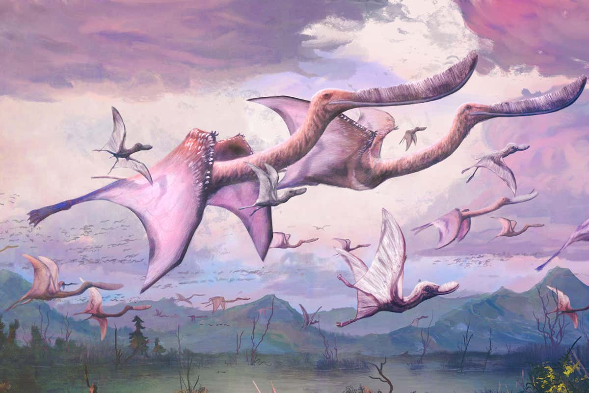 pterosaurs flying