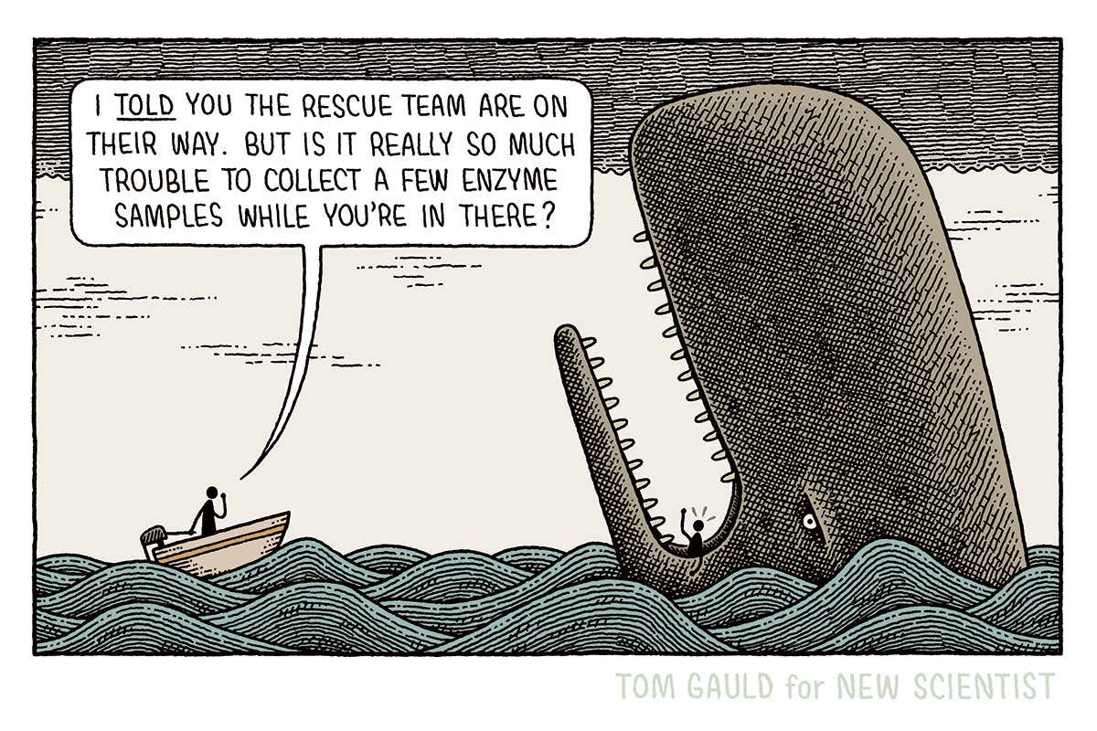 Tom Gauld on having a whale of a time