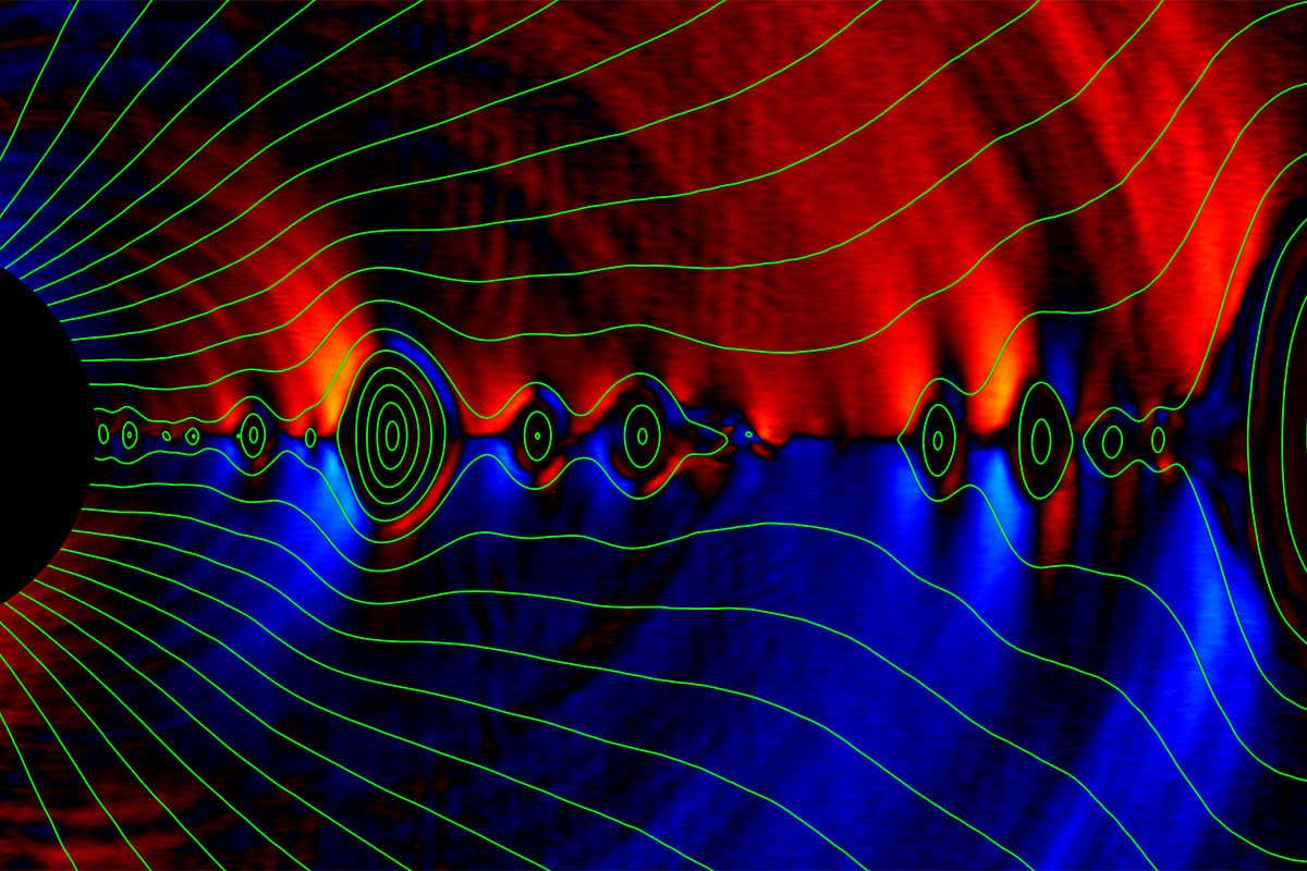 Black holes follow the no hair theorem