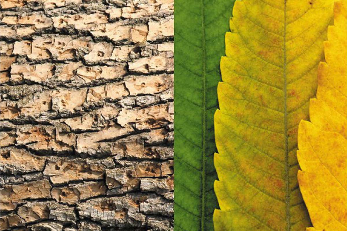 New Scientist. Science news and long reads from expert journalists, covering developments in science, technology, health and the environment on the website and the magazine.