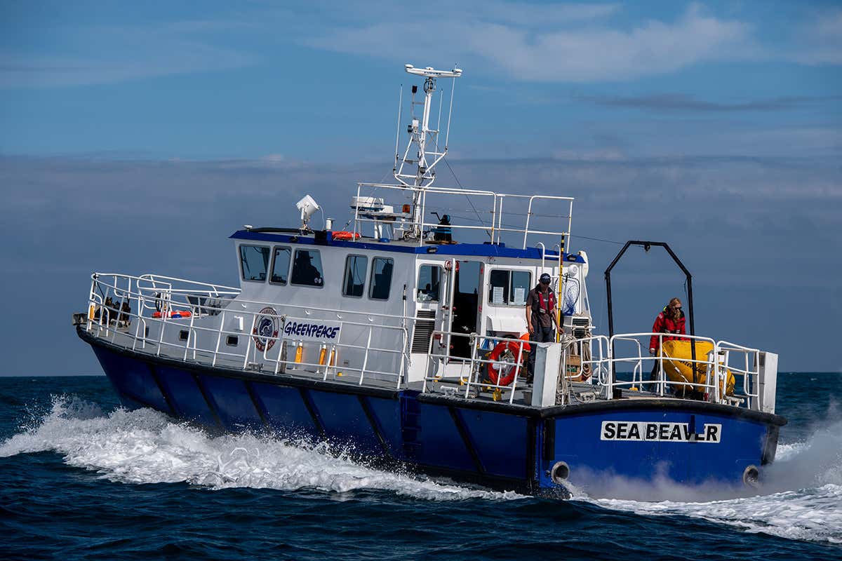 Greenpeace boat