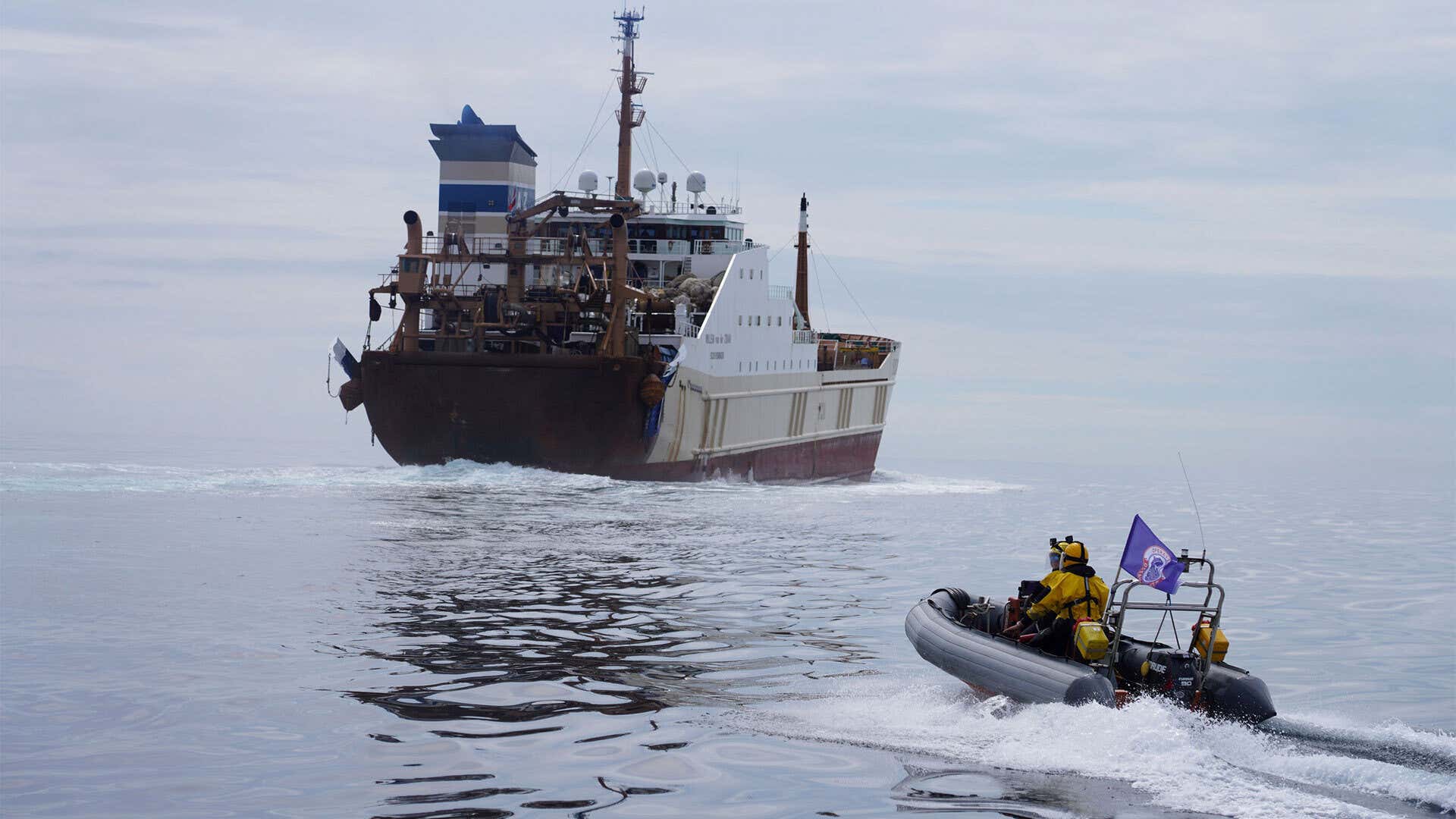 Inside the fight to stop destructive fishing in marine protected areas