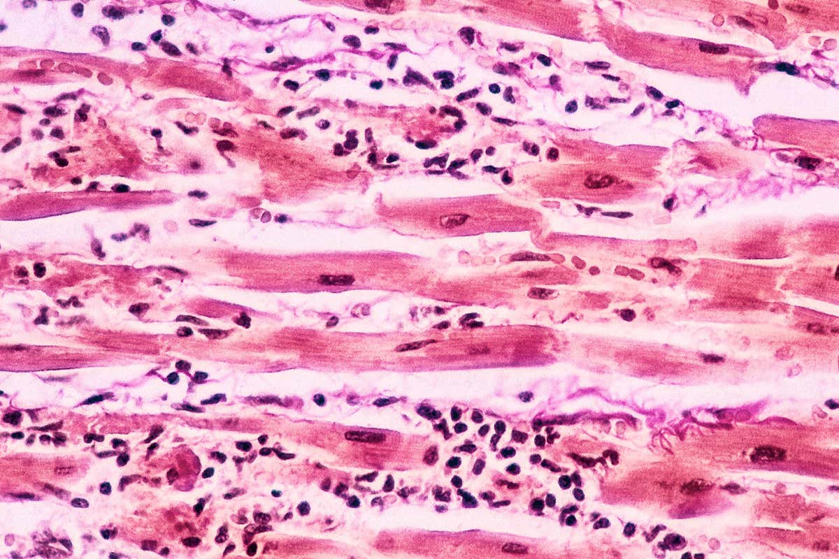 New Scientist. Science news and long reads from expert journalists, covering developments in science, technology, health and the environment on the website and the magazine.