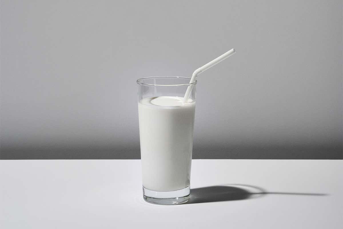Real milk, no cows needed: Lab-made dairy products are now a reality