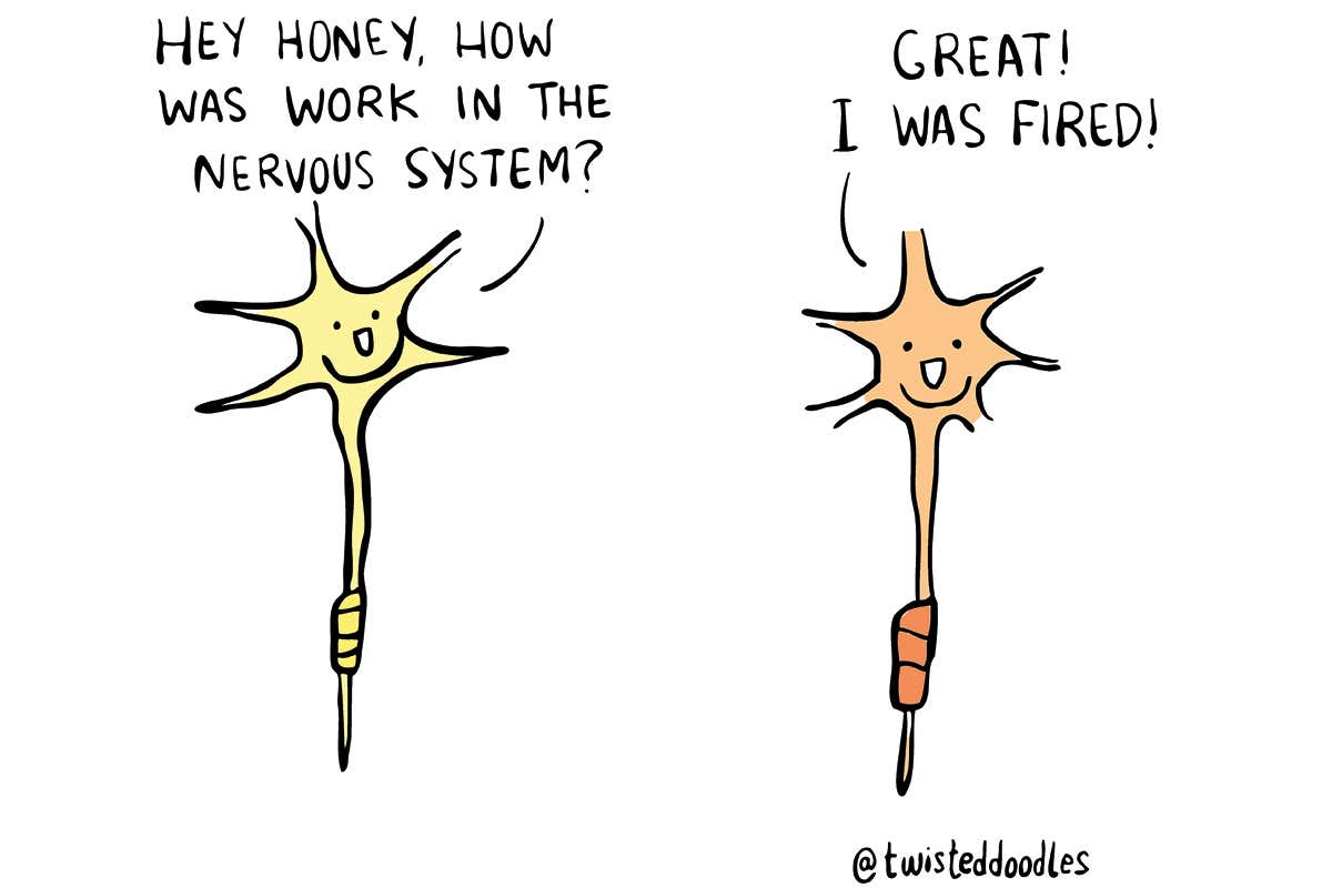Twisteddoodles: Hey honey, how was work in the nervous system?
