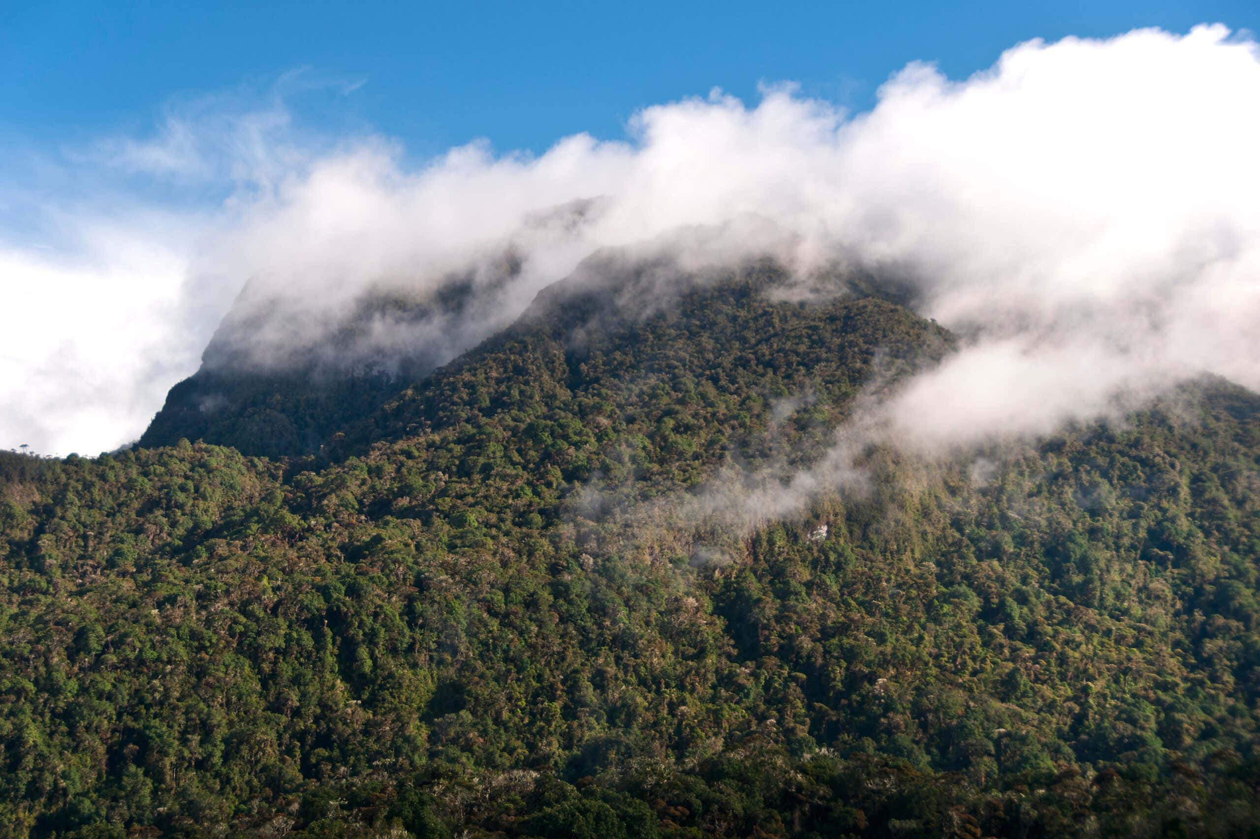 Cloud above the forests in Navado de Huilo, Columbia