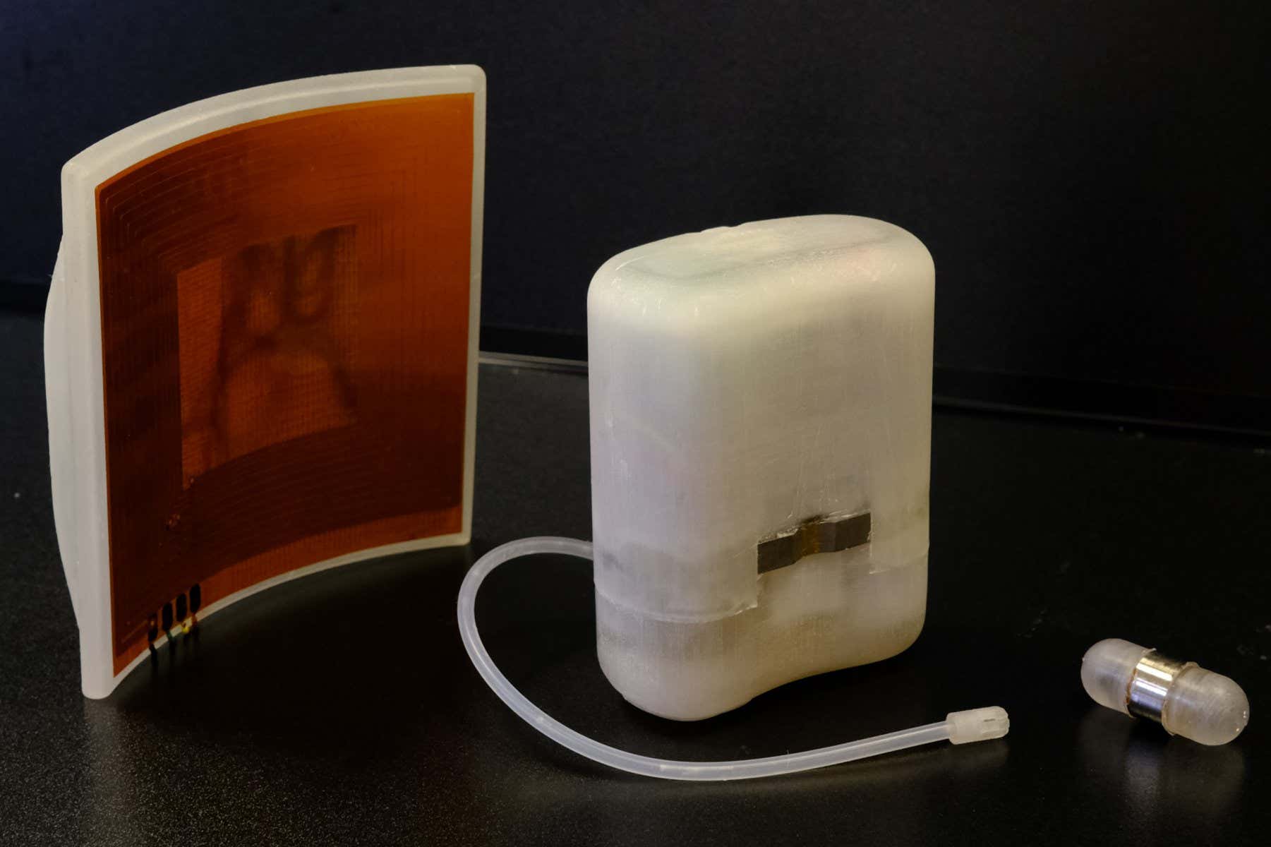 New Scientist. Science news and long reads from expert journalists, covering developments in science, technology, health and the environment on the website and the magazine.