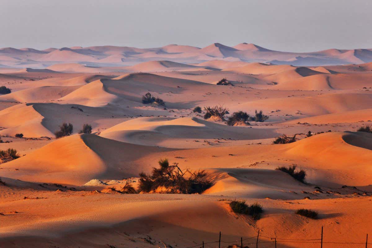 E08ERC Sand dune landscape in Arabian desert.