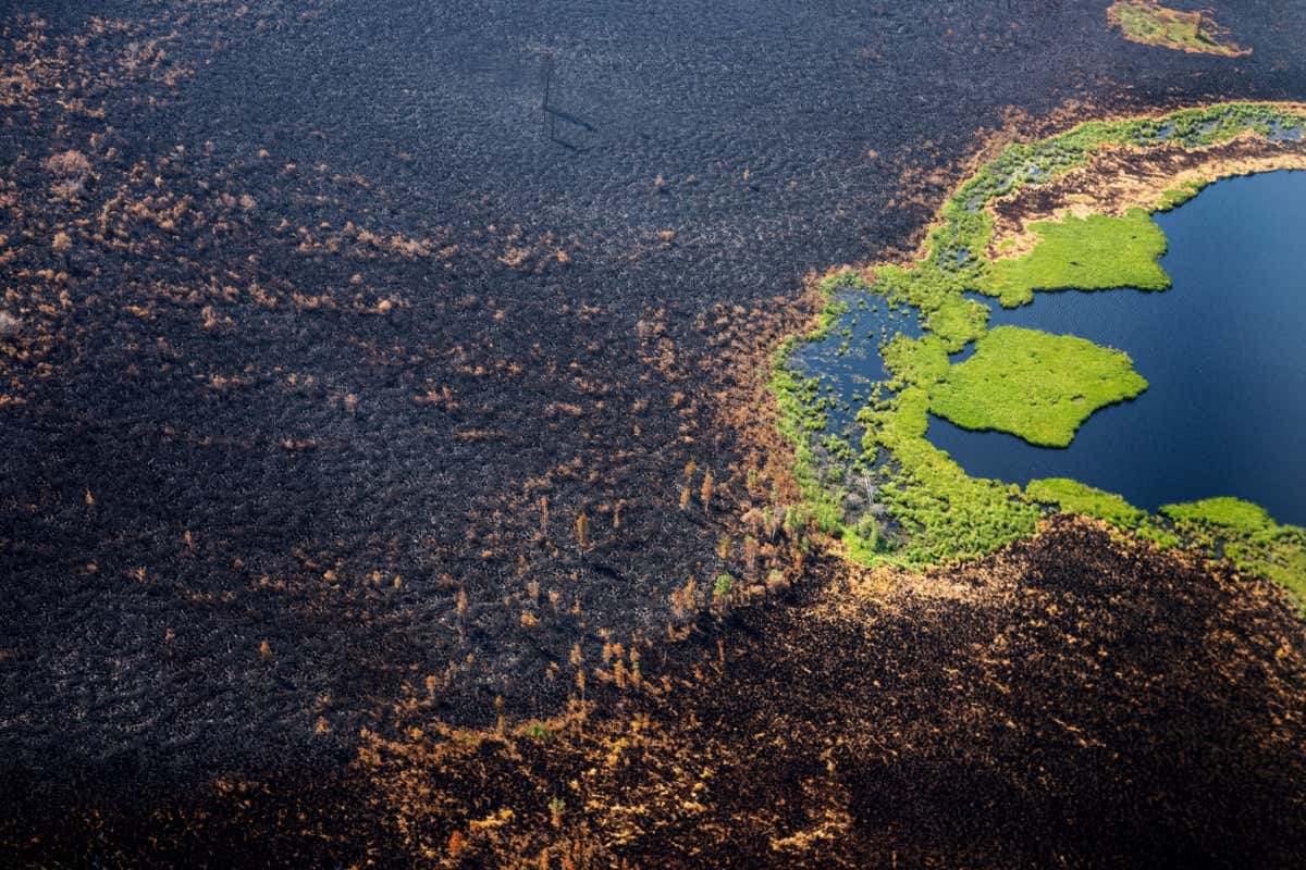 A burned forest at Gorny Ulus, in the Sakha Republic, Russia.
