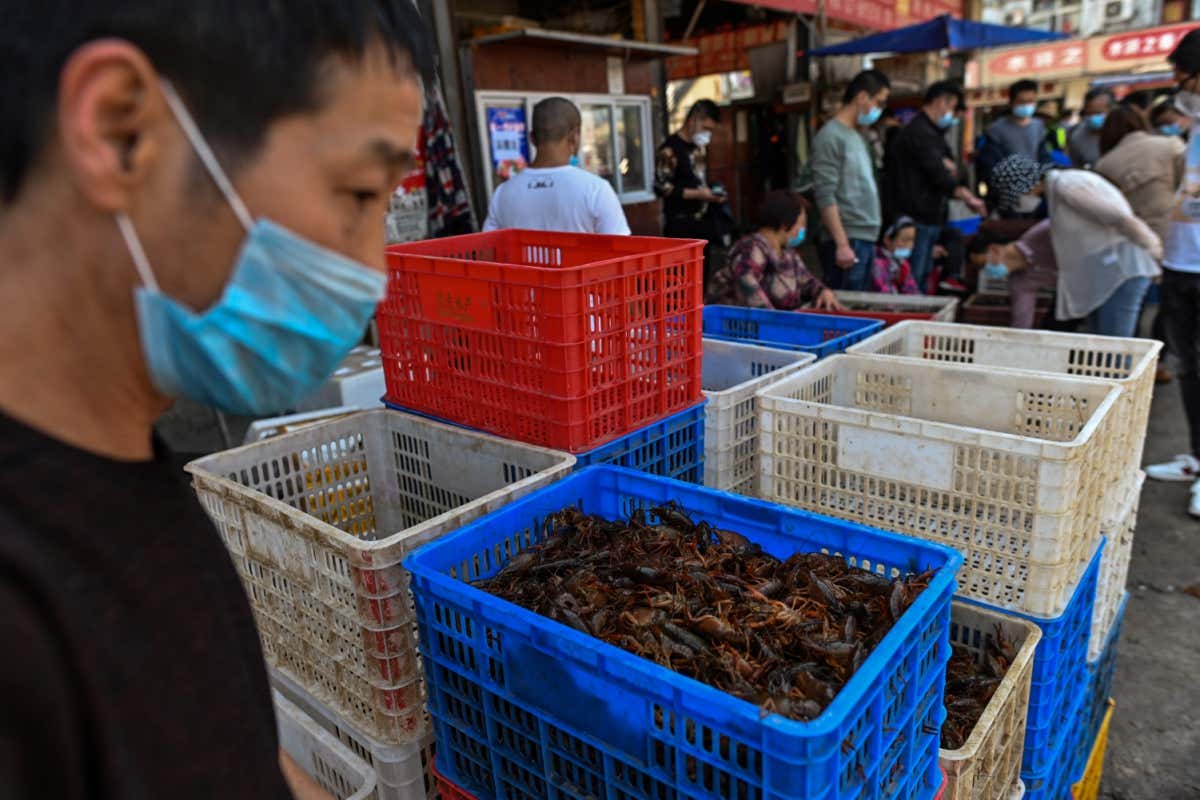 A basket of prawns on sale at the Wuhan Baishazhou Market in China's central Hubei province
