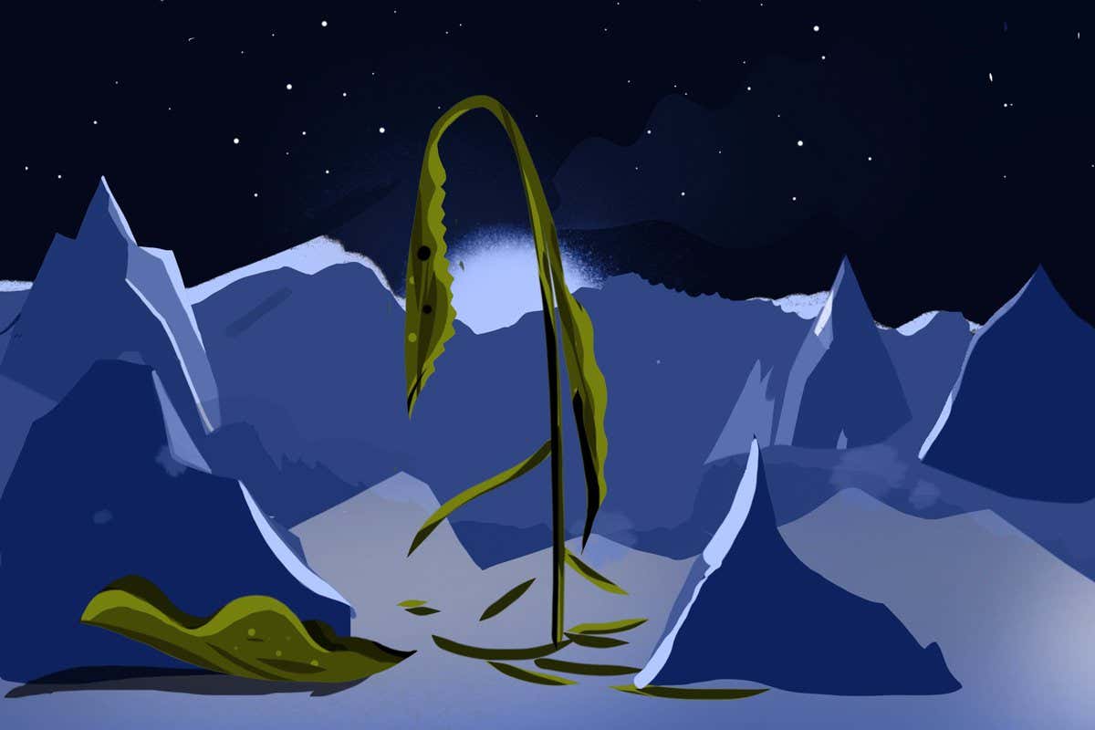 New Scientist. Science news and long reads from expert journalists, covering developments in science, technology, health and the environment on the website and the magazine.