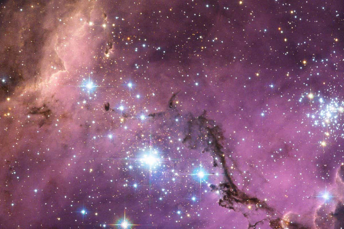 The Large Magellanic Cloud